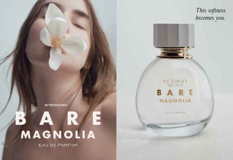 Bare Magnolia Collection
