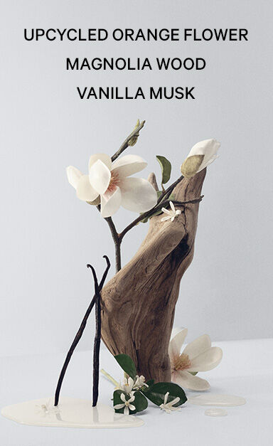Bare Magnolia Collection