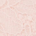 Lace Trim Thong Panty, Purest Pink-11207436, swatch