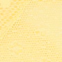Daisy Lace Thong Panty, Yellow Tulip, swatch