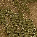 Lace Thong Panty, Green Chameleon, swatch