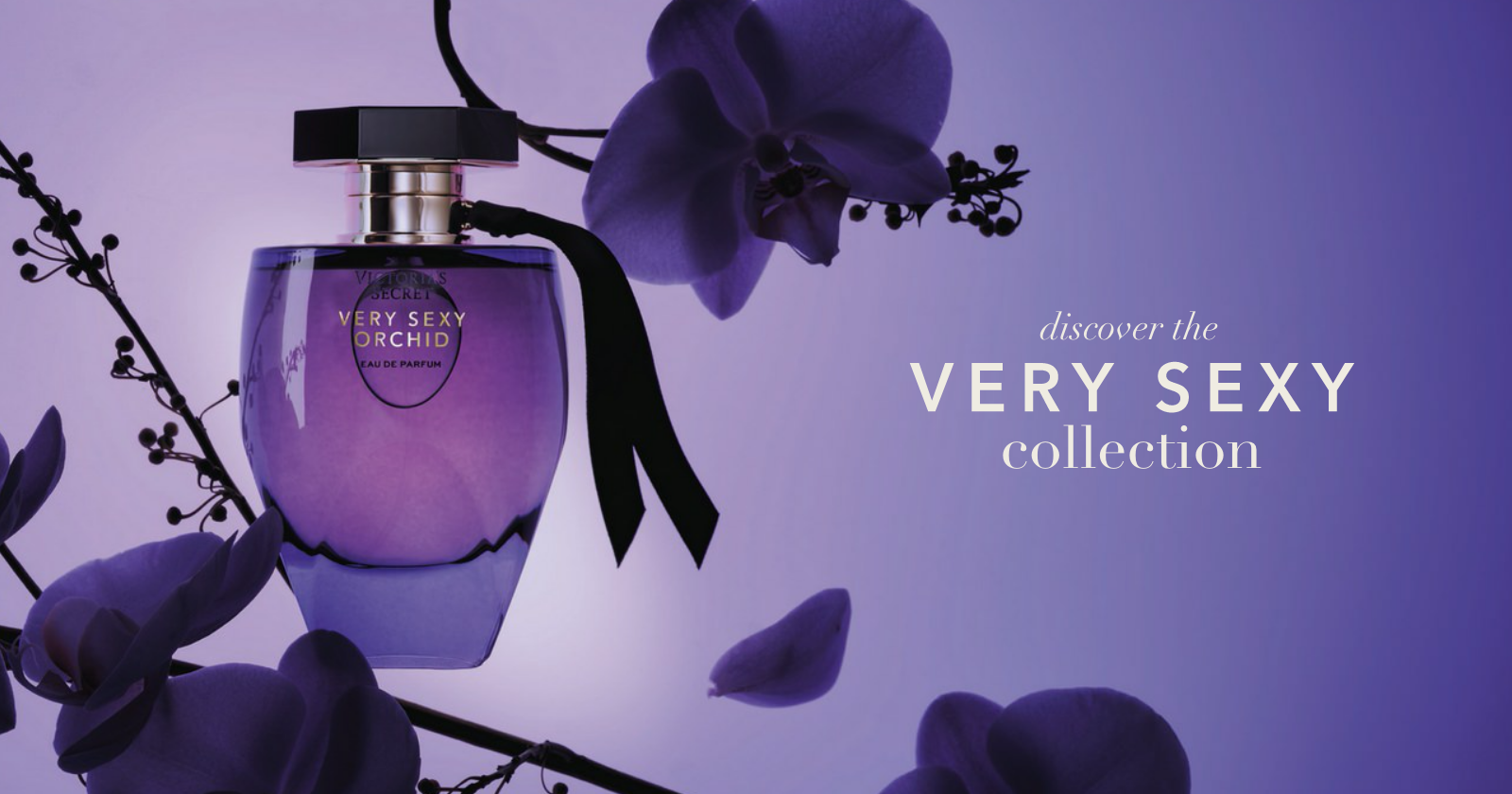 Fragrance Lotions PLP banner