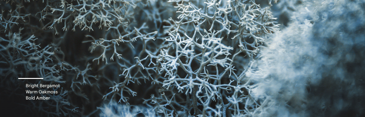 Daring: Up to 50% PLP banner